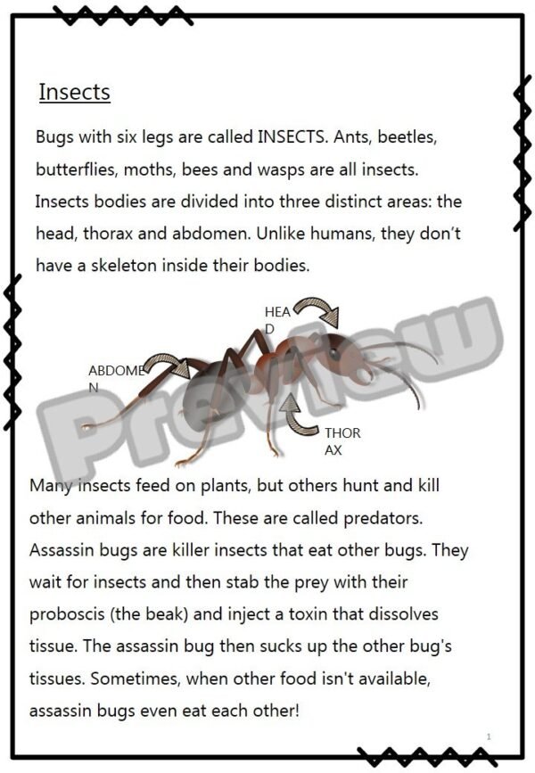 Preposition Insects Mad about Insects - The Resourceful English Teacher