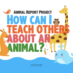 Animal Report